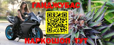 гашик Лесосибирск