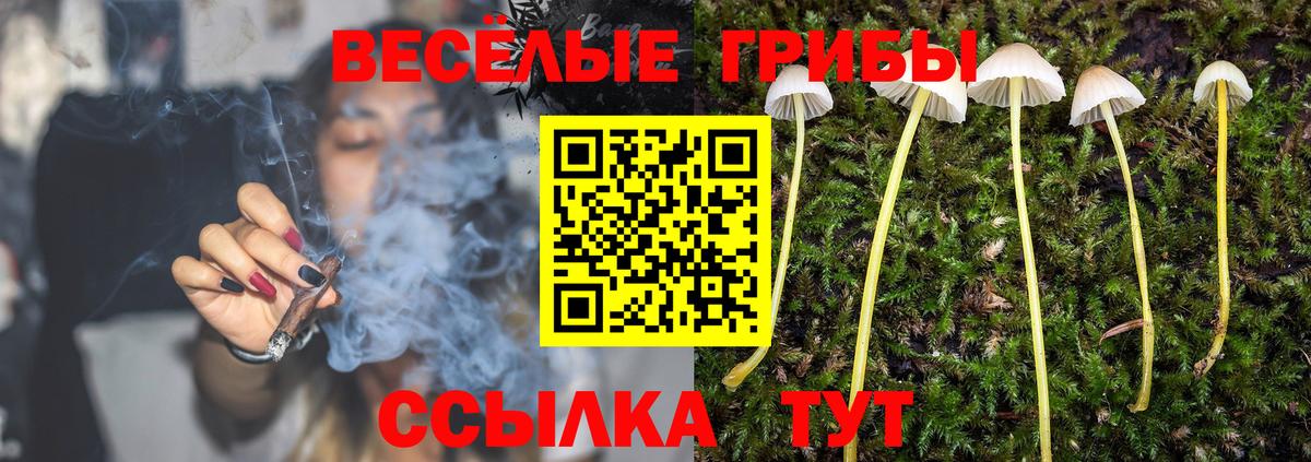 Псилоцибиновые грибы Magic Shrooms Дивногорск