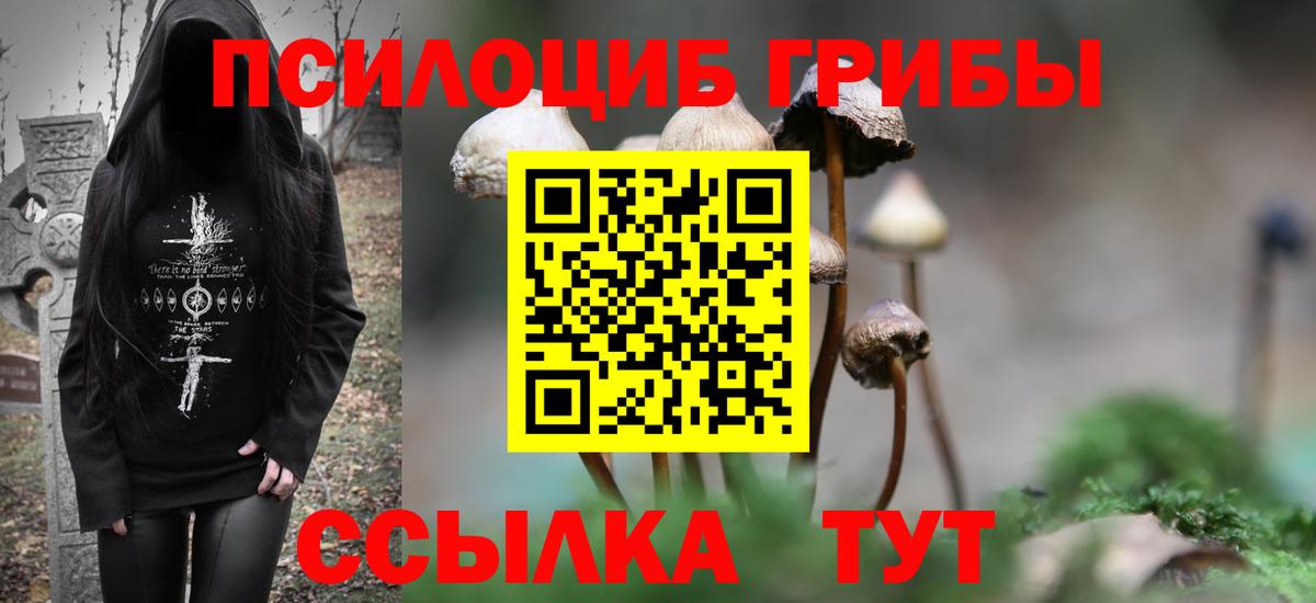 Псилоцибиновые грибы прущие грибы  Галлюциногенные грибы Cubensis  Дивногорск  Вход с VPN 